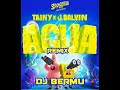 AGUA - J BALVIN (REMIX DJ BERMU)