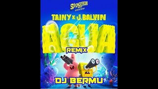 AGUA - J BALVIN (REMIX DJ BERMU)