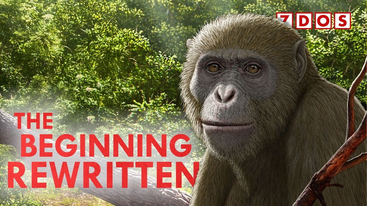 New Species of Ape Redefines Human Origins - YouTube