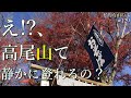 【高尾山】いろはの森コース＊混雑登山にうんざりな方、お薦めです！ ＃登山 ＃トレッキング ＃ハイキング ＃裏高尾