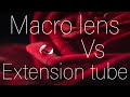 Macro lens Vs extension tubes: Which is better?