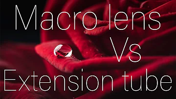 Macro lens Vs extension tubes: Which is better?