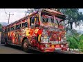 Duburu    lamissi    bus    video