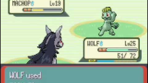 Pokemon Emerald Walkthrough Part 23:Meteor Falls