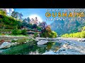 Gushaini  an offbeat place in himachal pradesh  best place to visit in summer vacation