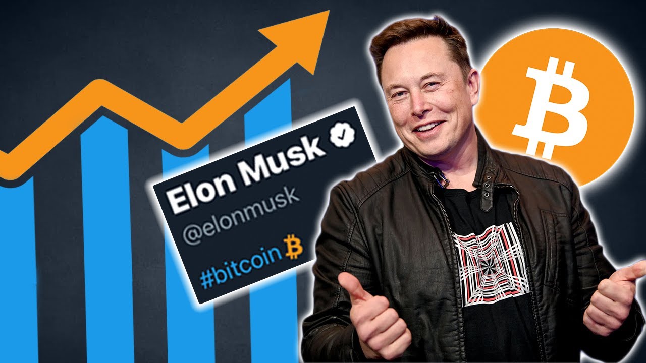 How Elon Musk Made Bitcoin Skyrocket (& Doge coin & Etsy & GameStop) | How  YOU Can Profit From This