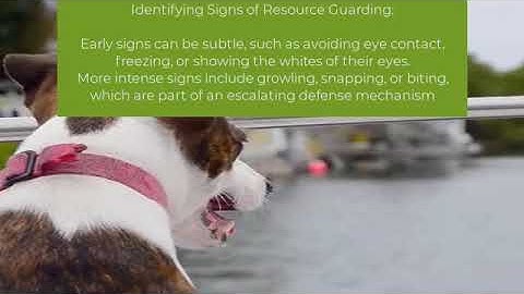How to Stop Resource Guarding The Ultimate Guide