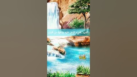 حالات واتس اب مؤثرة | اية تهز قلبك بصوت القارئ | Quran Status, 91 (1)