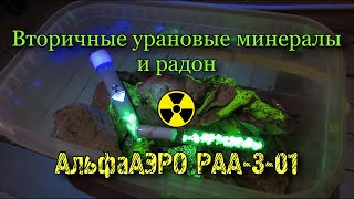 Измерение радона от вторичных урановых минералов | Радиометр АльфаАЭРО РАА-3-01