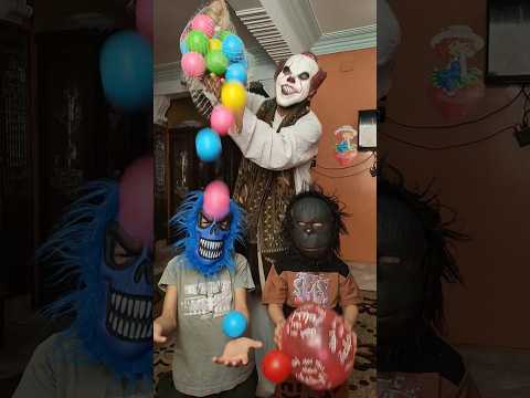 الكلب اللولو هو هو