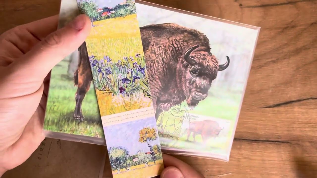 Распаковка июньских конвертиков 💌почта💌открытки💌посткроссинг💌