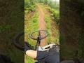 Chill PNW laps