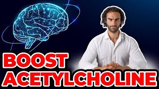 How To Increase Acetylcholine Naturally Hidden Secrets
