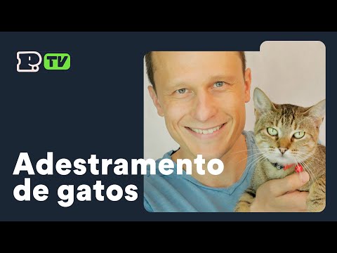 Adestramento de Gatos - Petz