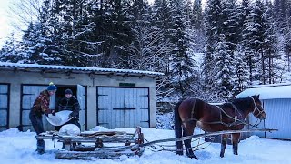 ЯК ГУЦУЛИ ВОЗЯТЬ ПРОДУКТИ КІНЬМИ ДО ХАТИ В ГОРИ / ВАЖКЕ ЖИТТЯ В КАРПАТАХ