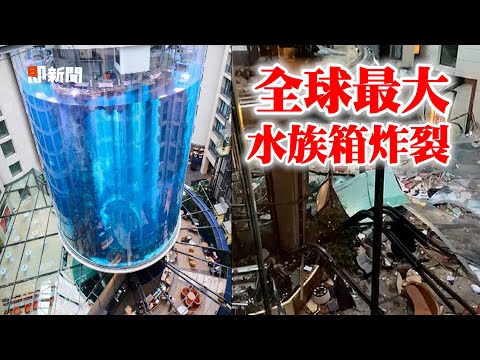 全球最大圓柱水族箱炸裂 海水湧1500魚屍躺滿街｜國際｜德國柏林｜AquaDom｜麗笙飯店