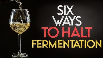 Six Ways to Halt Fermentation in Homebrew