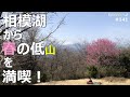 【高尾山】相模湖から小仏城山＆高尾山 春のゆる登山にお薦めのコースです。 ＃登山 ＃トレッキング ＃ハイキング ＃奥高尾