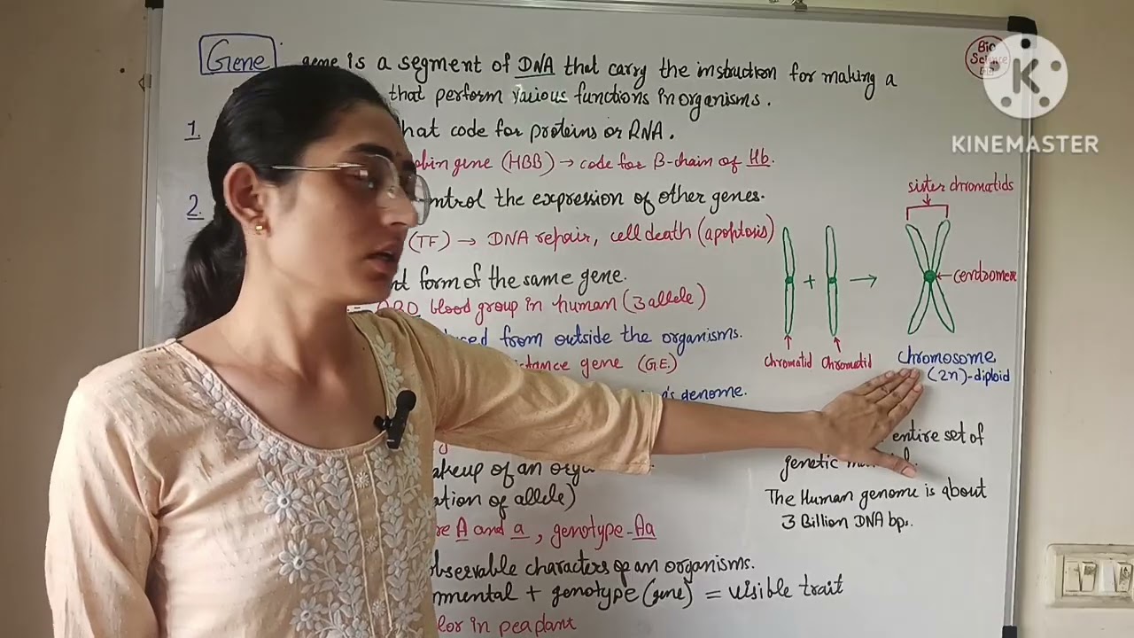 General terminology related to genetics!