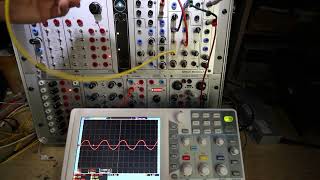 How to use the Serge Wilson Analog Delay (WAD) as a powerful oscillator
