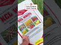 Pupuk bawang merah #bawangmerah #kalium