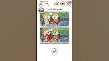 Brain Find Level 28 Find 2 Differences.