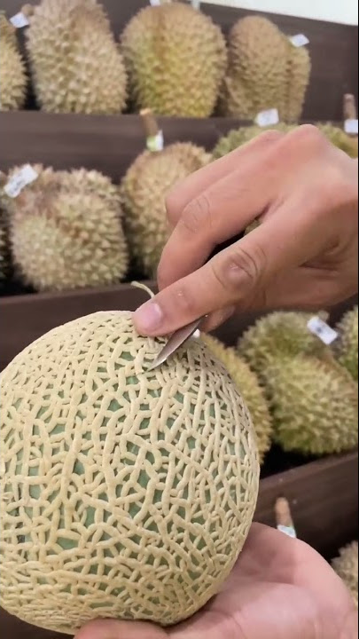 UNBOXING BANDUL DURIAN ⁉️ JAPANESE MELON OR EMPEROR MELON #melon #emperor #masduren