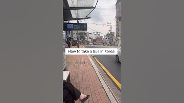 How to take a bus in Korea #koreatravel #trip #koreatrip