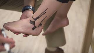 Foot And Ankle Anatomy