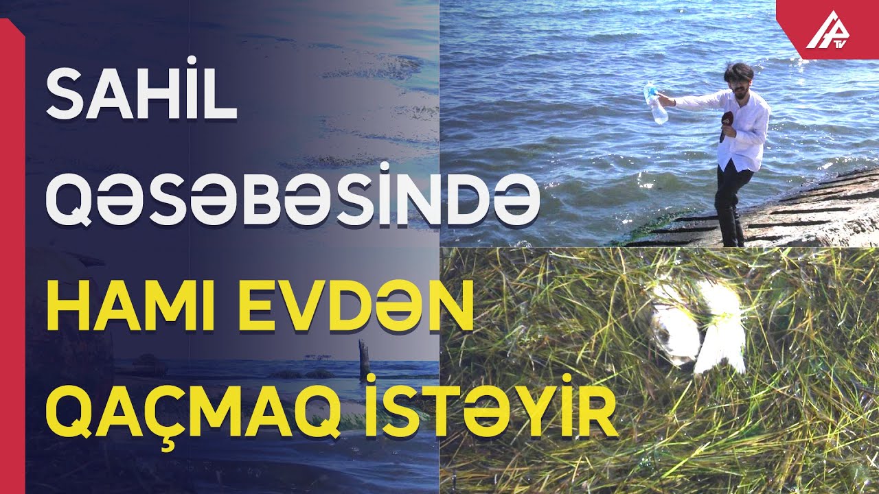 Böyüklər boğulur, uşaqlar xəstəlik tapır – Sahildə nə baş verir? - APA TV