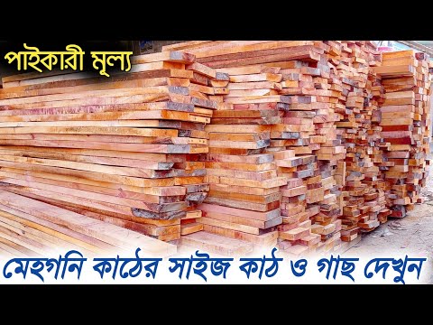 ভিডিও: মেহগনি কাঠ কোথায় পাওয়া যায়?