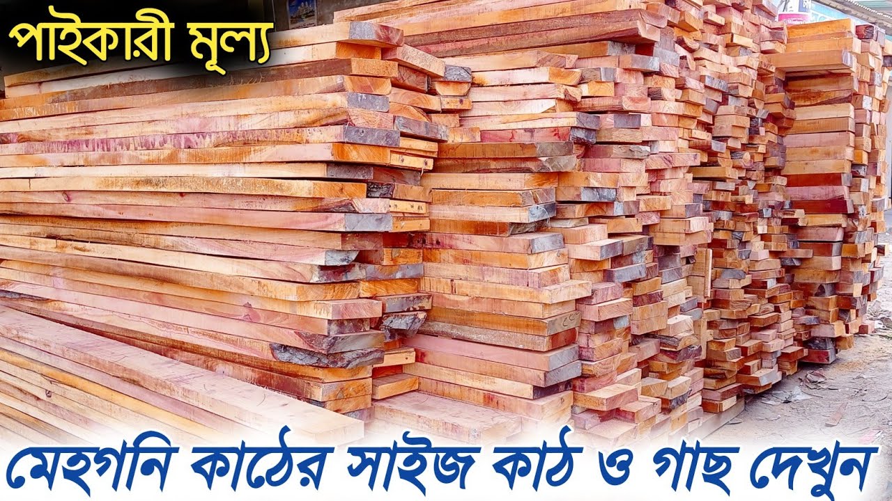 মেহগনি কাঠের সাইজ কাঠ ও গাছ দেখুন পাইকারী মূল্য || Buy mahogany wood size || door & all video
