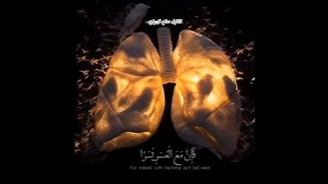 ألم نشرح لك صدرك بصوت مريح للقلب | القارئ صلاح الهواري |