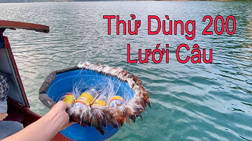 Thử Vận May Với 200 Lưới Câu | Cá Sông Tự Nhiên