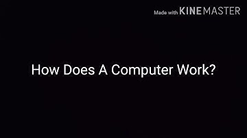 How Does A Computer Work? (Revision) by Rubab Rizvi