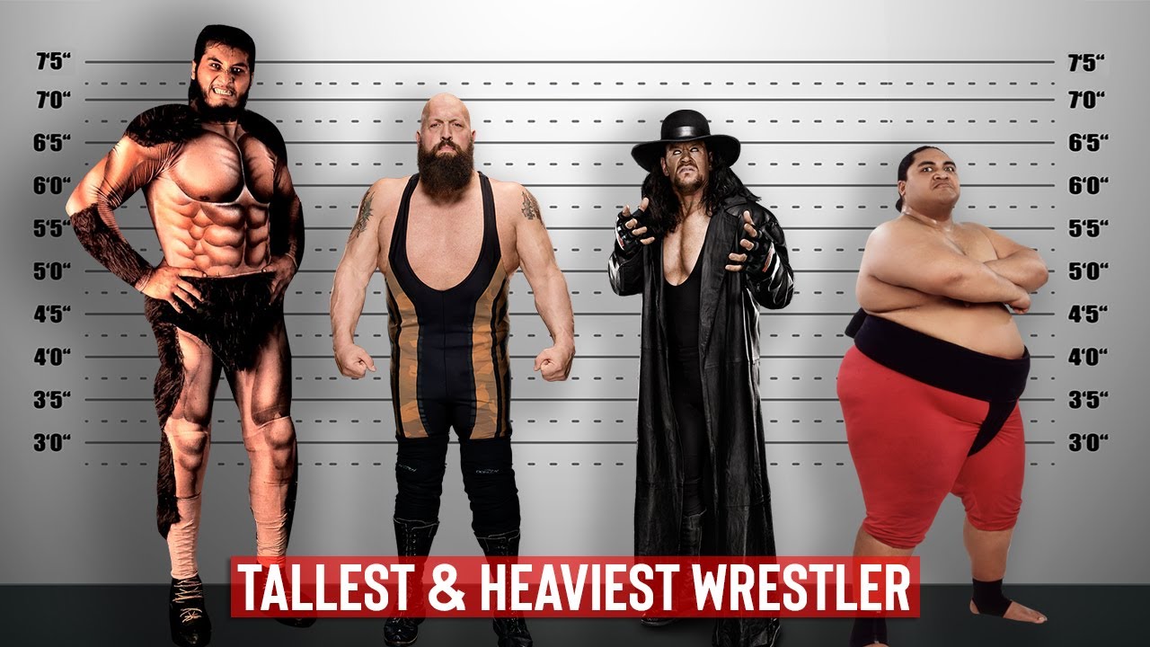 Tall time. Most Tallest wrestler. Heaviest.