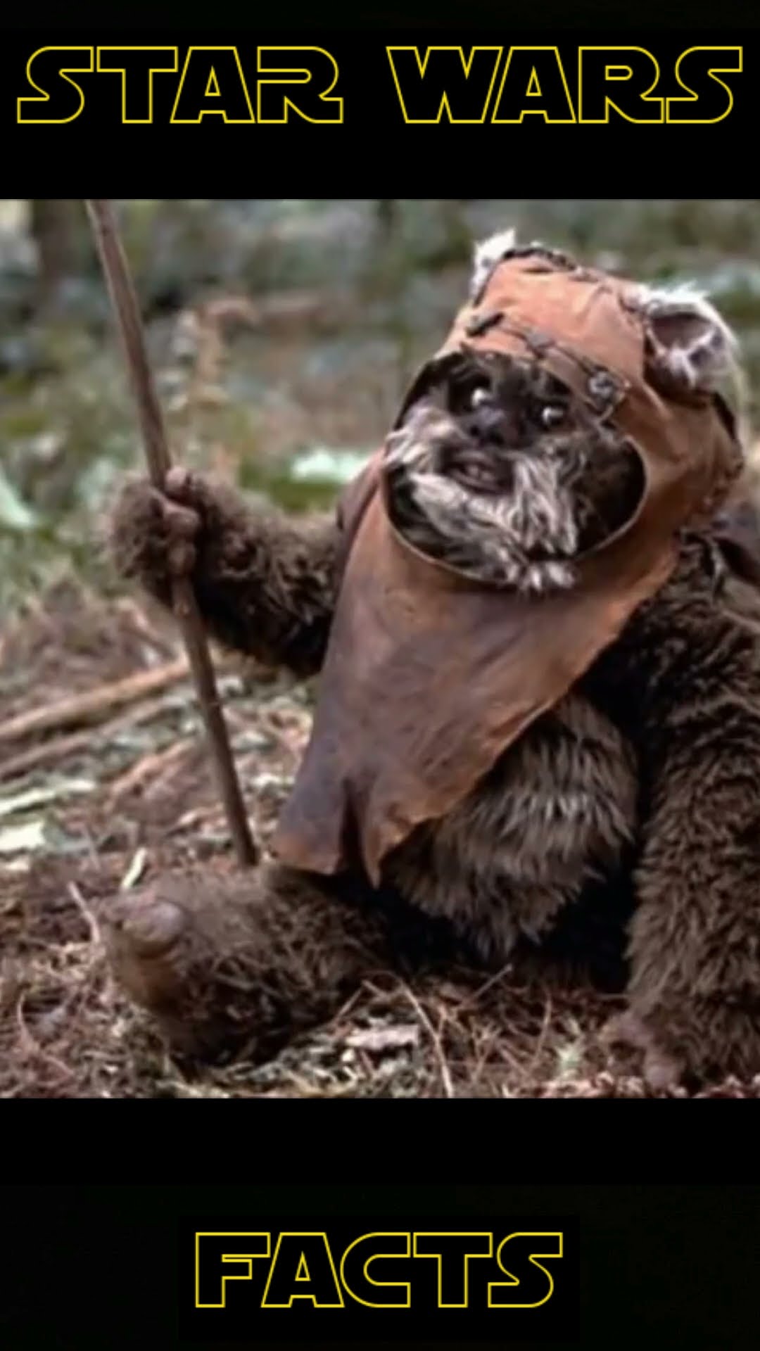 Dancing Ewok Gif