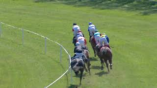 Vidéo de la course PMU PRIX DES ESPOIRS