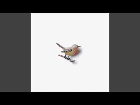 F Delano - Kishi Bashi