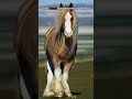 POV: This horse can’t be real… too beautiful to exist 😳✨ #shortvideo