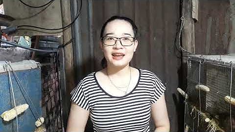 Dấu hiệu nhận biết dúi đang mang thai cực hay