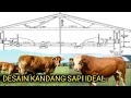 Ukuran kandang sapi yang ideal