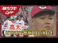 【Carp】髙太一ピンチで登板し火消し!|勝ちグセ|カープ