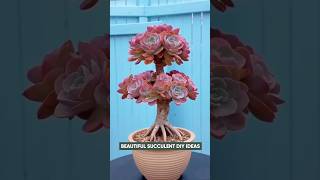 Creative Succulent Decor Ideas You’ll Love!