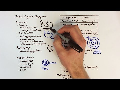 Video: Cystic Hygroma u psu