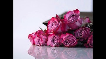 ما تيسر من سورة الكهف بصوت الشيخ الوليد الشمسان