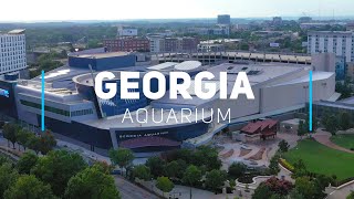 Georgia Aquarium - The biggest Aquarium in the USA | 4K video