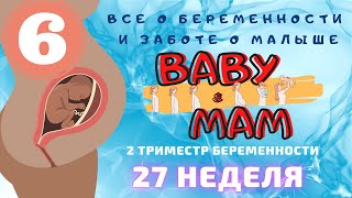 27 неделя беременности