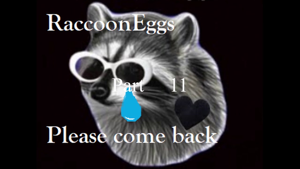 RaccoonEggs Words That Rhyme With Raccoon Part 11 YouTube