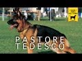 PASTORE TEDESCO Trailer Documentario